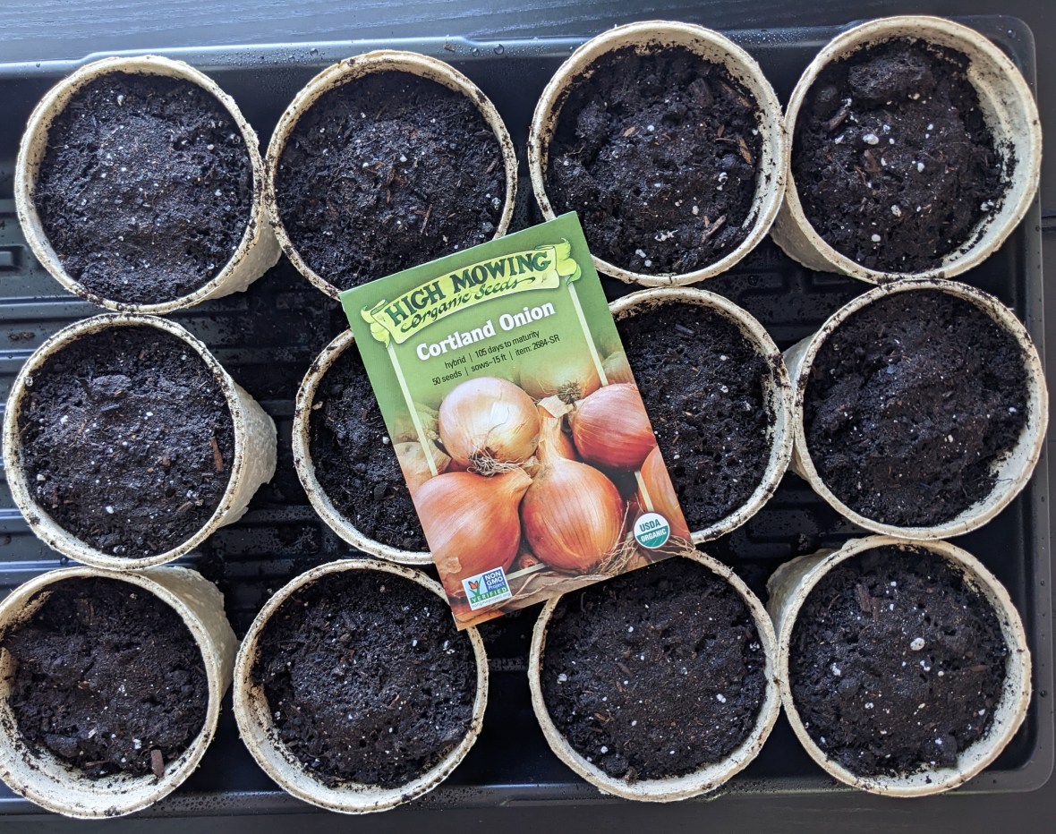 And the first seeds are in the&nbsp;soil!