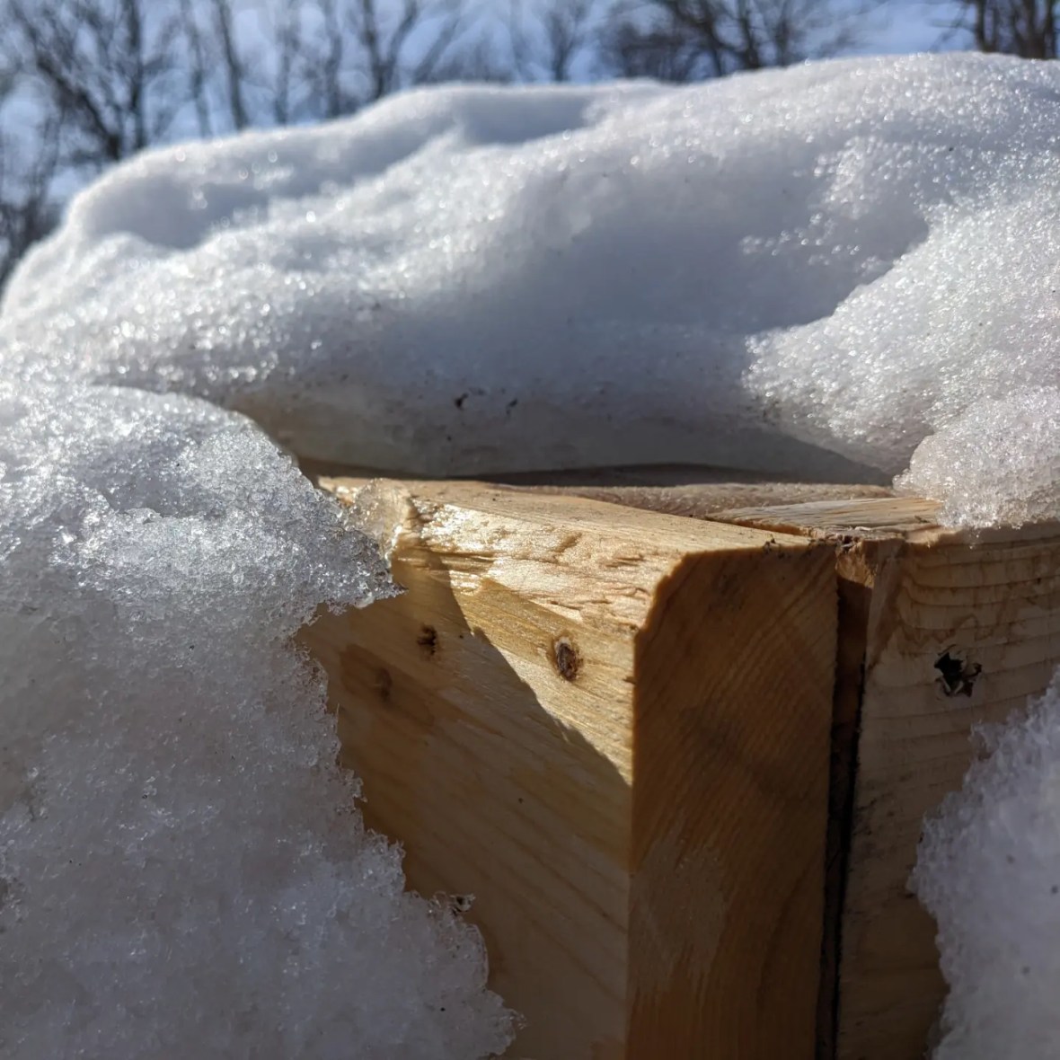 The sun is finally&nbsp;out